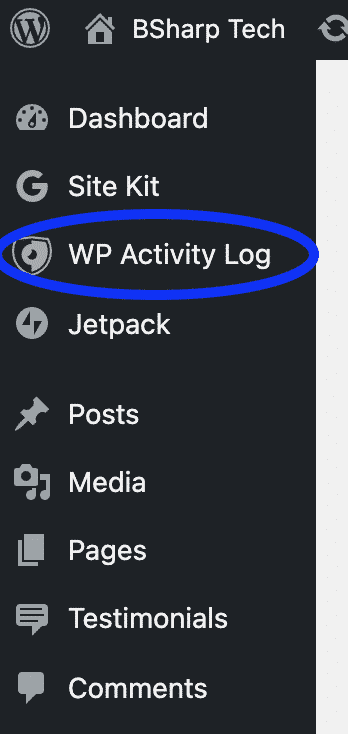WP Activity Log 10 WP Activity Log Menu Option